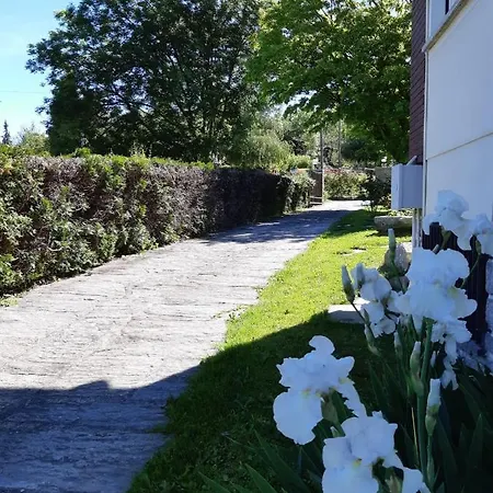 I Tulipani * ستريزا