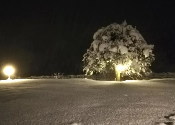 I Tulipani Apartamento